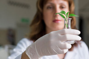 woman in research lab studying a plant